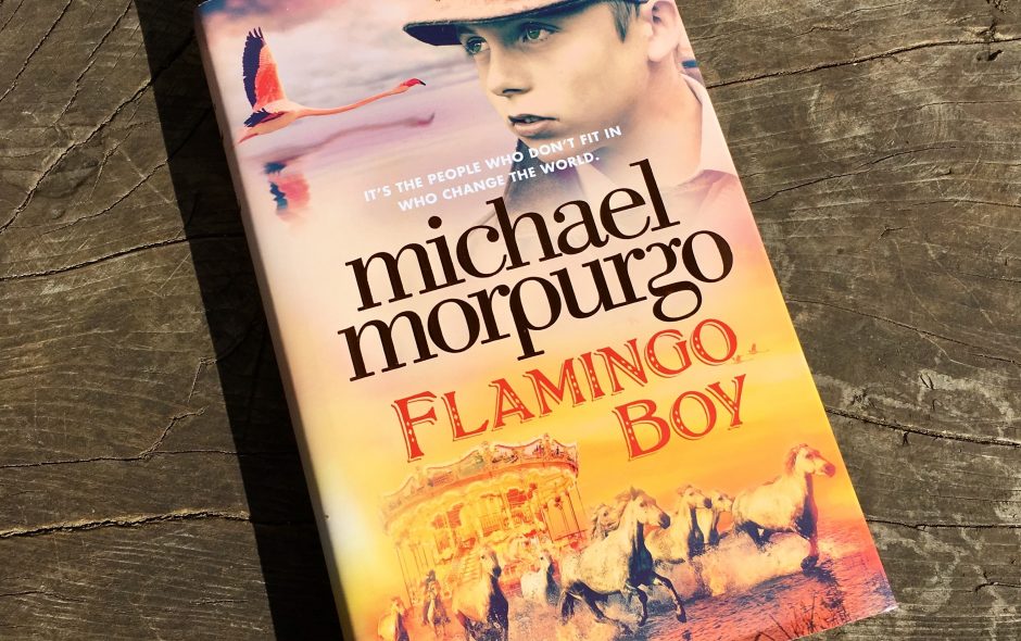 Flamingo Boy